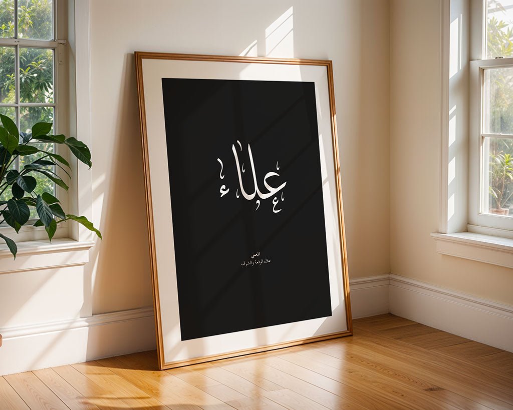 Alaa - علاء