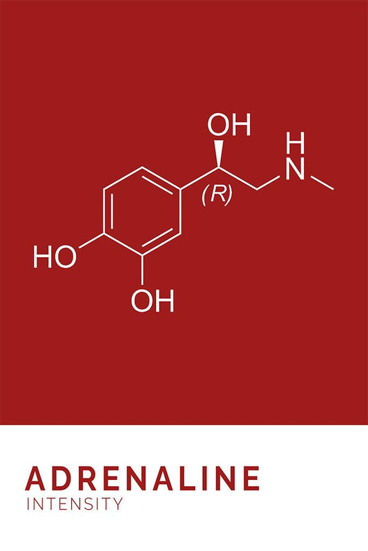 The Adrenaline Chemical Structure by FN Prints showcases a white adrenaline molecule on a red background, with "ADRENALINE" and "INTENSITY" in bold and regular white text—ideal wall art printed on museum-quality archival paper.