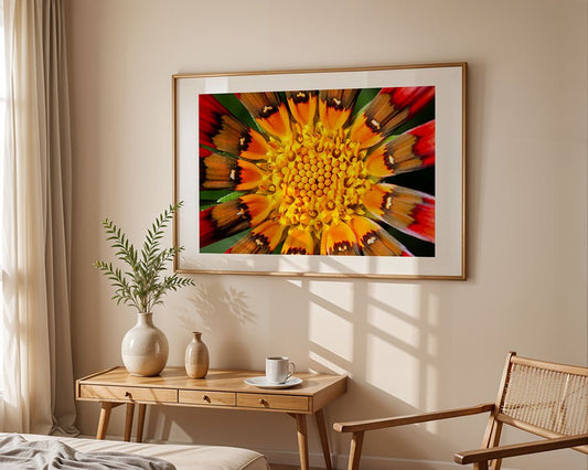 A framed FN Prints "African Daisy (Gazania Linearis)" macro photo print hangs on a beige wall above a wooden console table with a potted plant, cup, saucer, and a wooden chair beside it.