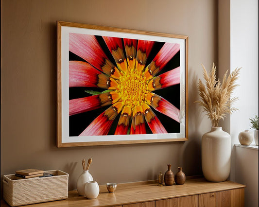 The FN Prints "African Daisy (Gazania Linearis) II" framed botanical print, featuring vivid yellow, pink, and red petals, is displayed above a wooden sideboard decorated with vases, baskets, and dried pampas grass.