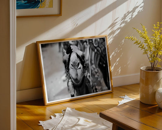 The Camel Smile Black & White art print by FN Prints leans against a beige wall on a wooden floor, alongside a yellow potted plant and a white cloth, adding striking desert animal decor to the sunlit room.