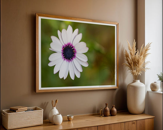 A framed FN Prints photo of a Cape Marguerite hangs on a beige wall. Below, a wooden table boasts nature-inspired décor: a pampas grass vase, three small vases, a bowl, and a basket.