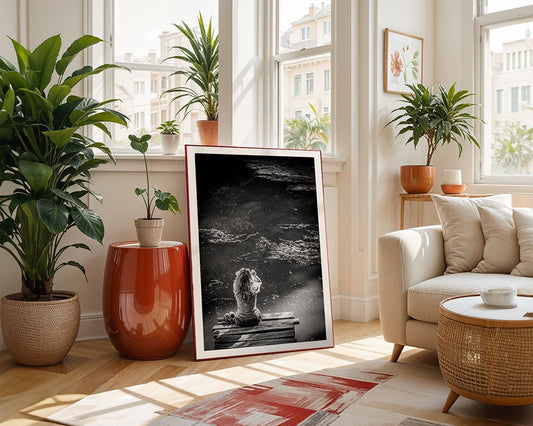 Contemplative Waters