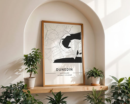 Dunedin City Map
