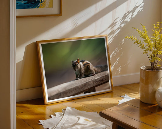 A framed "Flame-Striped Jungle Squirrel (Funambulus Layardi)" photo by FN Prints sits on a wooden surface, bathed in sunlight—ideal nature wall art to enhance your home décor.