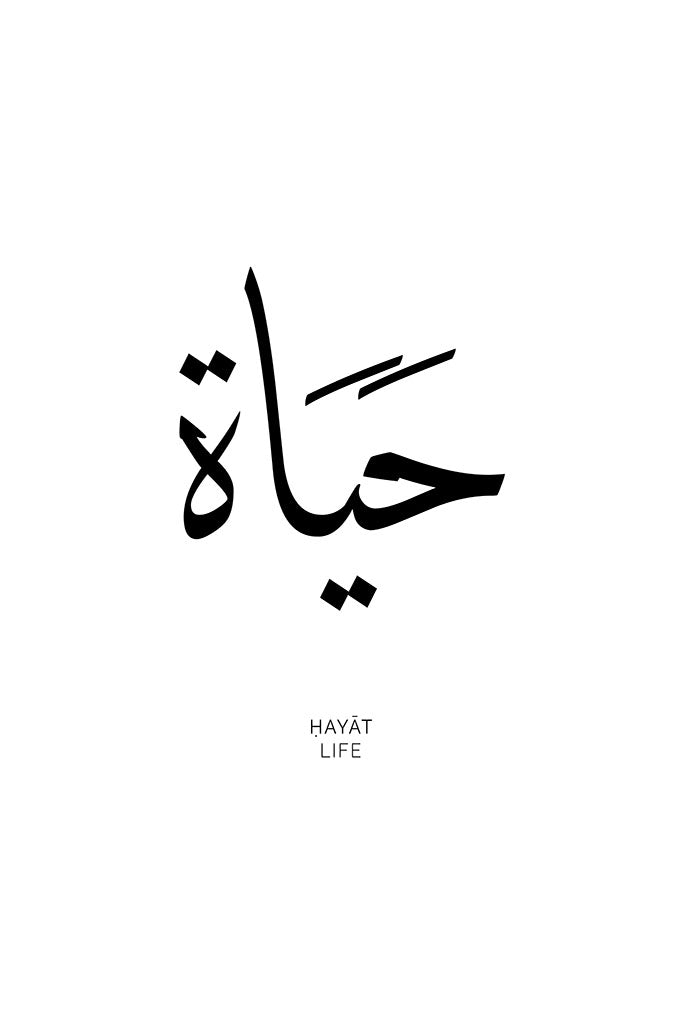 Hayat - Life