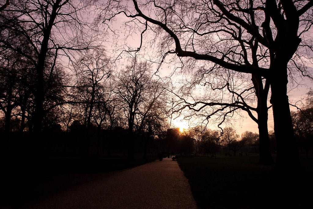 London Park Sunset