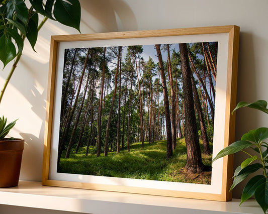 The "Magical Forest" framed photography print by FN Prints sits on a white shelf among green potted plants. Sunlight and shadows enhance the calm, natural charm of your forest decor.