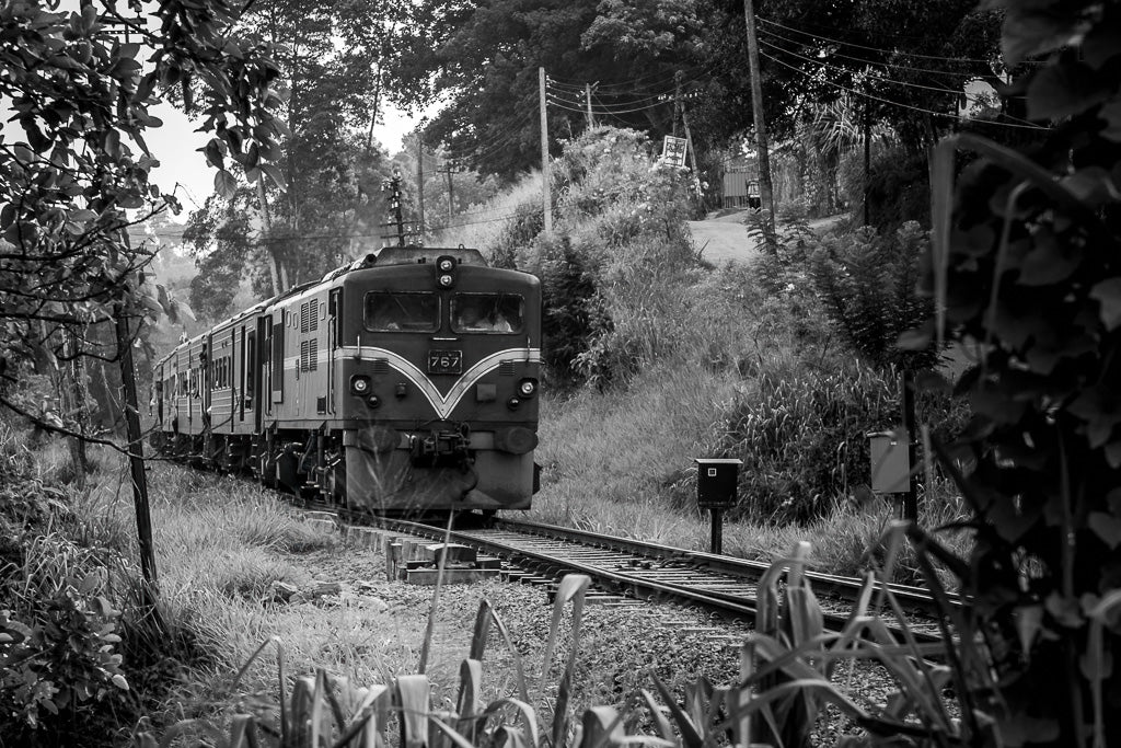 Sri Lanka Train Journey