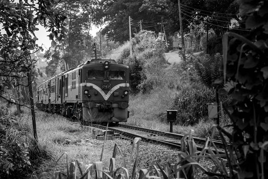 Sri Lanka Train Journey