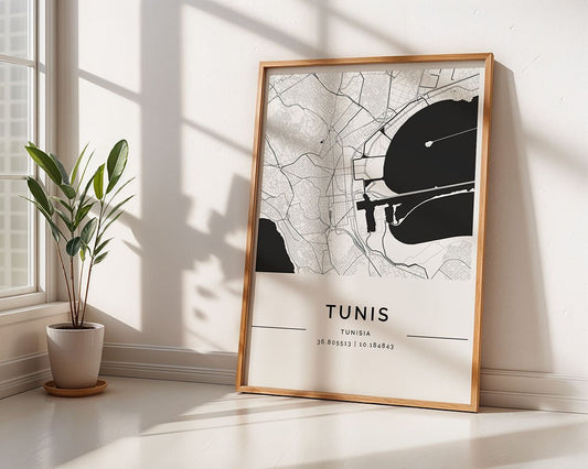 Tunis City Map