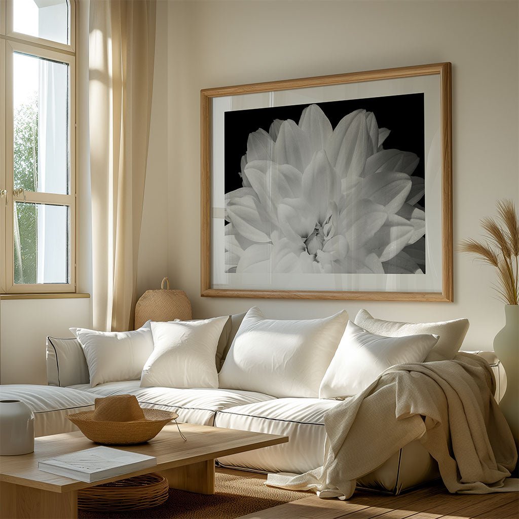 White Dhalia