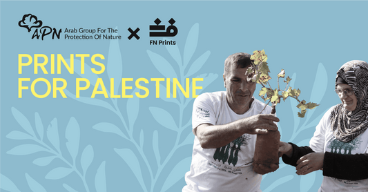 FN Prints x APN: Art with a Sustainable Heart