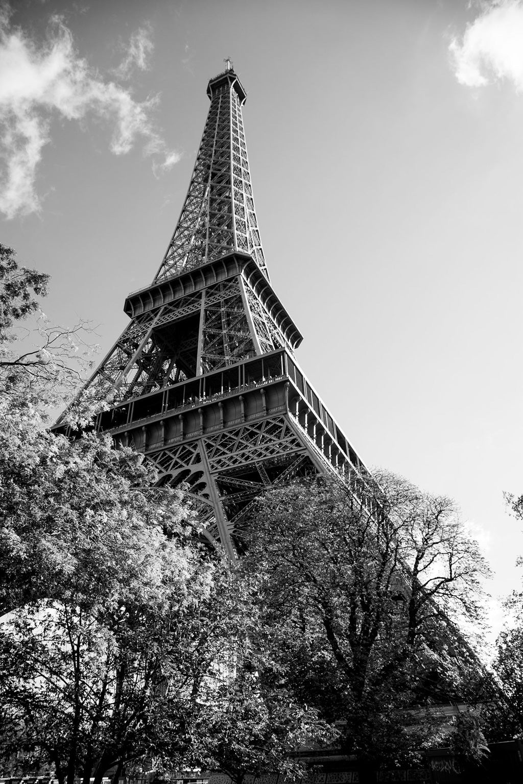 FN Prints' "The Eiffel Tower: Part II Black & White" features a striking black and white photograph of the Eiffel Tower in Paris, viewed from below and partially obscured by leafy trees. The iconic iron lattice structure rises into a sky with scattered clouds, creating a dramatic perspective. This art print beautifully captures the essence of the City of Lights.