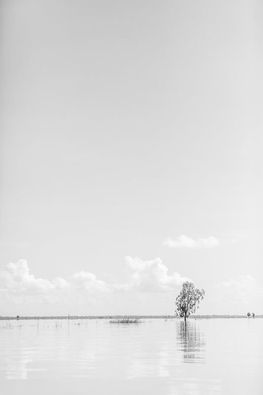 Introducing Paddy Field Reflections by FN Prints: a stunning black and white photography print capturing a serene lake with a solitary tree partially submerged in the water. The vast sky, adorned with scattered clouds, amplifies the sense of tranquility. In the distance, another cluster of trees or bushes is reflected on the water's surface, making it an ideal piece for wall art.