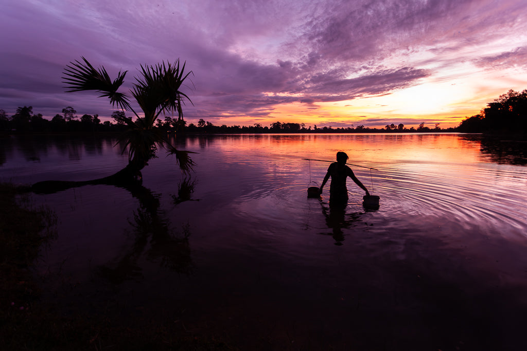 A woman getting water from a lake at sunrise in Cambodia siem reap