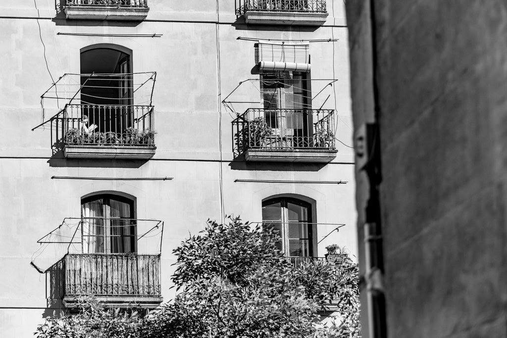 The Reader Black & White by FN Prints captures a black and white photograph of an old apartment building facade featuring four windows with balconies, each with metal railings. The balconies are adorned with a few potted plants, while a woman reading can be seen in one of them. In the foreground, a tree partially obstructs the view of the lower windows.