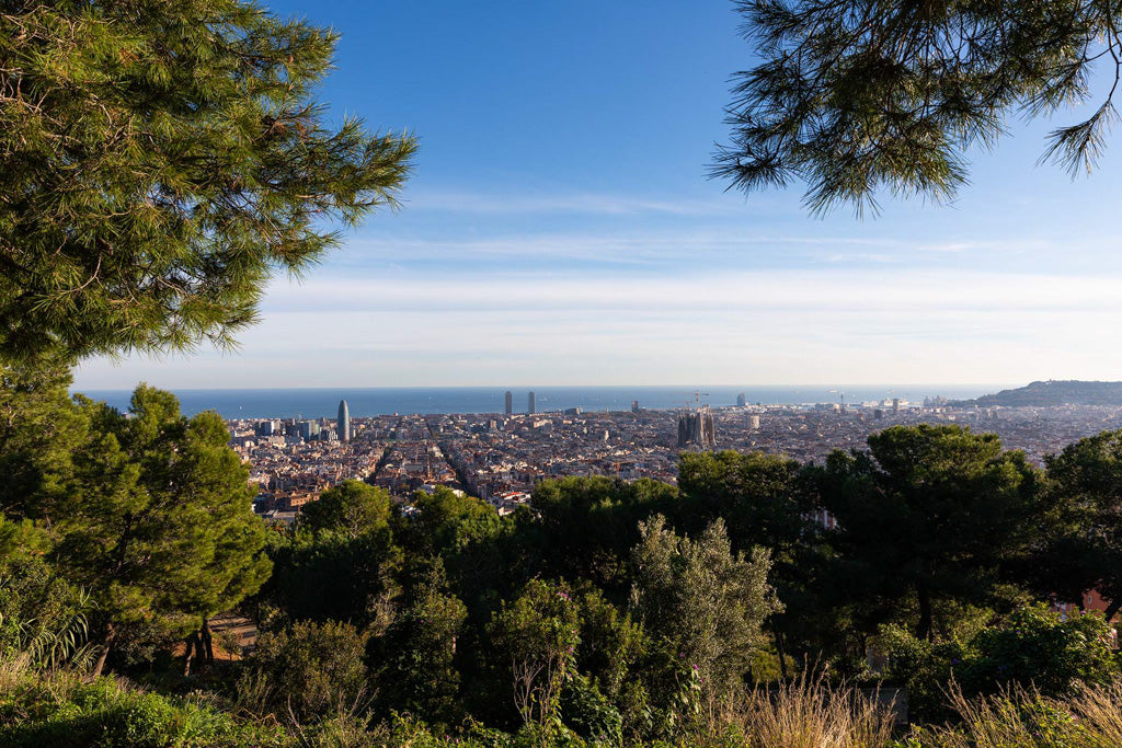 A scenic view of Barcelona's cityscape with numerous buildings and skyscrapers under a clear blue sky, seen from the Bunkers del Carmel vantage point surrounded by green, tree-covered hills. The sea is visible in the background, stretching to the horizon. This stunning image is brought to you by FN Prints.