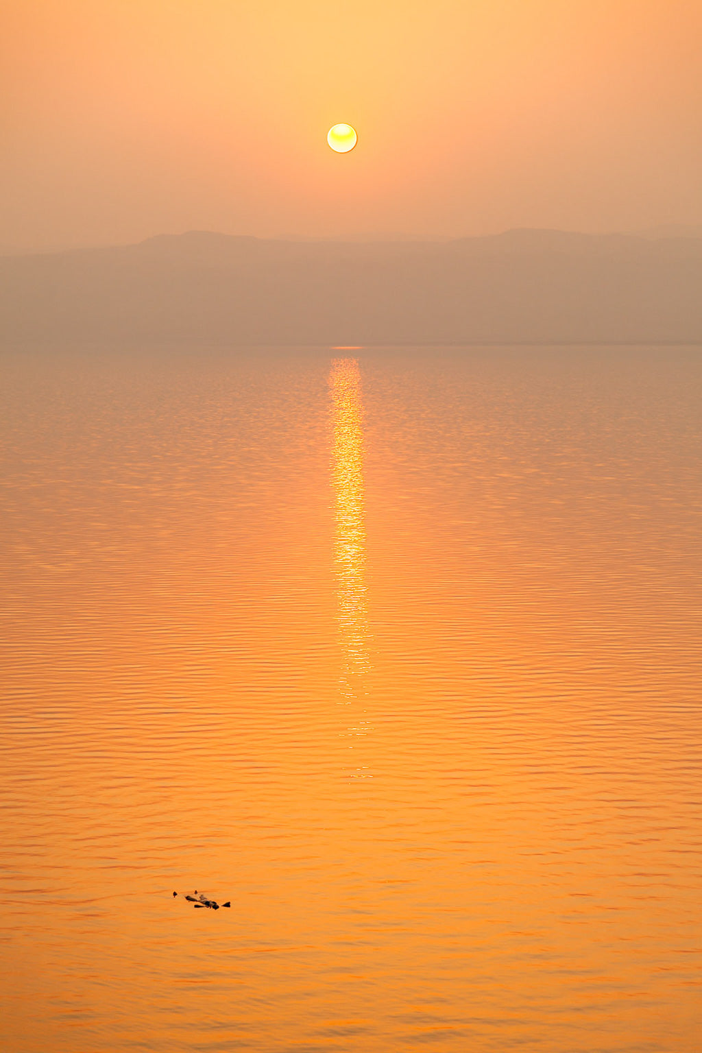 The Golden Horizon II photograph by FN Prints captures a golden sunset over the calm, expansive waters of the Dead Sea in Palestine. The sun, positioned near the top center, casts a long, shimmering reflection on the water's surface. Silhouettes of distant mountains are faintly visible under the hazy sky.