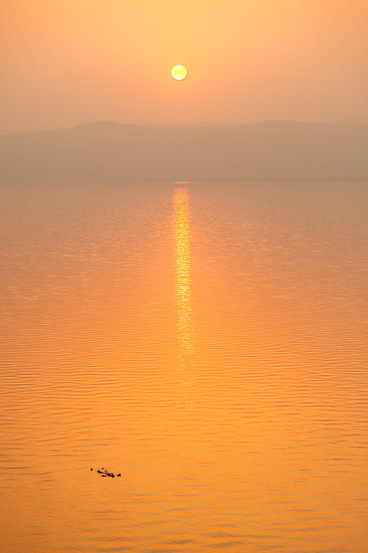 The Golden Horizon II photograph by FN Prints captures a golden sunset over the calm, expansive waters of the Dead Sea in Palestine. The sun, positioned near the top center, casts a long, shimmering reflection on the water's surface. Silhouettes of distant mountains are faintly visible under the hazy sky.