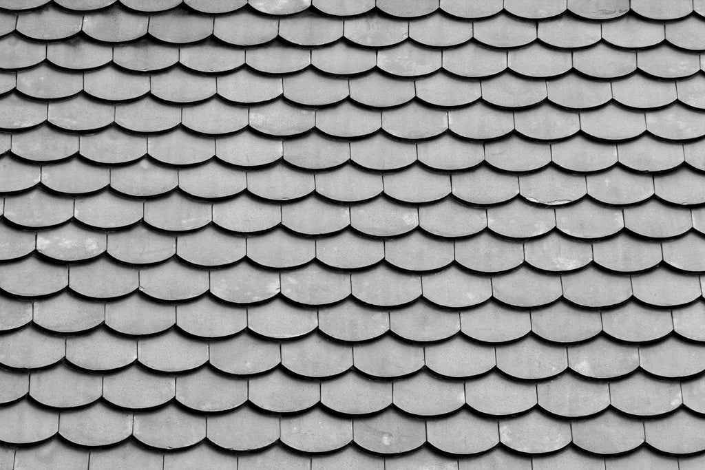 A close-up view of a roof covered with FN Prints Roof Tiles, showcasing overlapping, semi-circular tiles arranged in neat, repetitive rows. The monochromatic shingles present subtle variations in shade, creating a textured pattern across the surface and highlighting intricate architectural details.