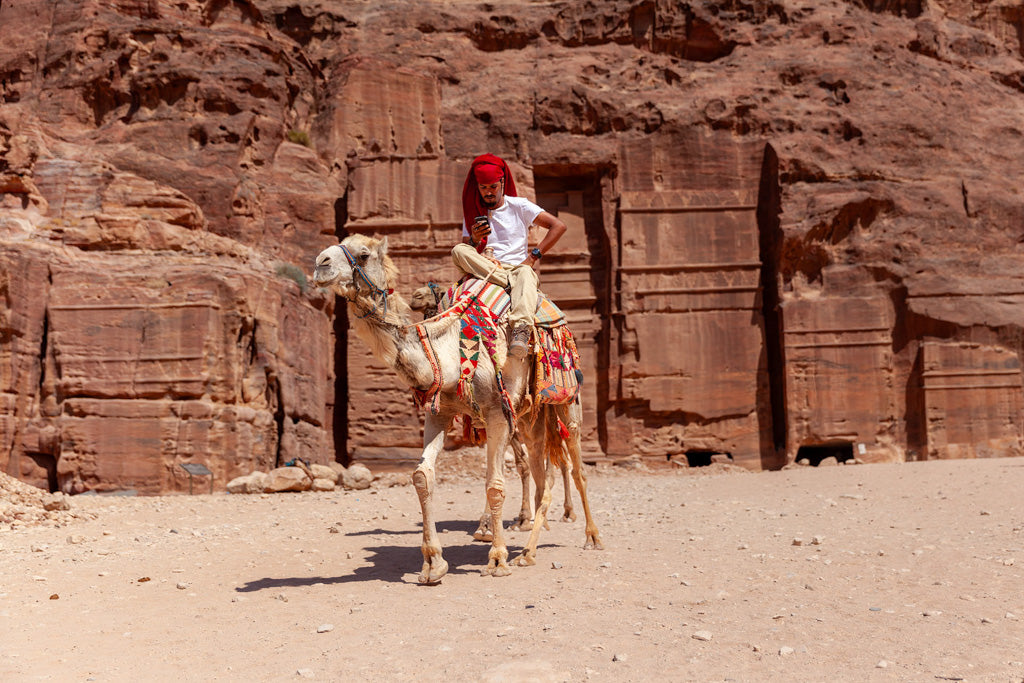 A scene featuring a Bedouin in a red headscarf and white shirt riding a ornately decorated camel across a rocky desert landscape, set against the backdrop of ancient stone structures carved into towering cliffs under an arid sunlit sky, is beautifully captured in FN Prints' "Modern Bedouin Colour.