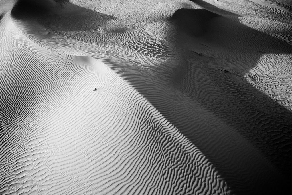 Introducing **Dune Part I** by **FN Prints**: A captivating black and white photograph capturing the intricate patterns etched into the UAE sand dunes by gentle winds. The ripples and shadows create a textured, abstract effect, highlighting the undulating landscape—an ideal piece for contemporary interiors.