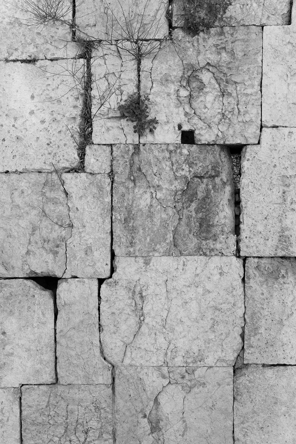 A close-up of an old stone wall composed of various rectangular blocks is captured in the black and white photograph titled "Nature Finds A Way" by FN Prints. The cracked and weathered stones harbor small plants in their crevices, exuding a serene, artistic quality. The overall rough texture reveals nature's effects, reminiscent of a Jordanian sandstone wall.