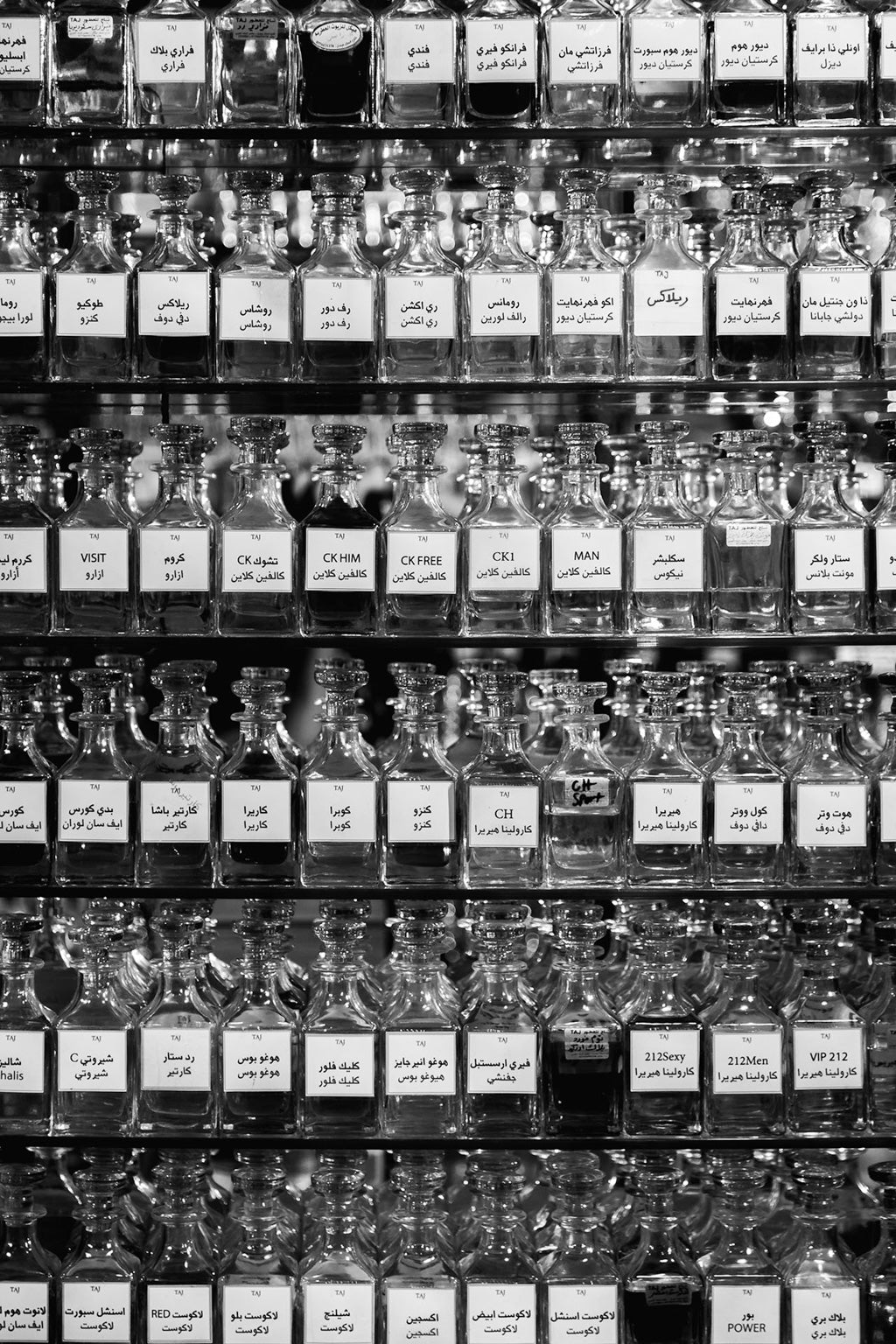 Amman Apothecary by FN Prints: A black and white photograph depicting an apothecary scene, showcasing shelves meticulously lined with numerous glass bottles labeled in various languages. The vintage image artfully captures the symmetrical and orderly arrangement of herbal concoctions.