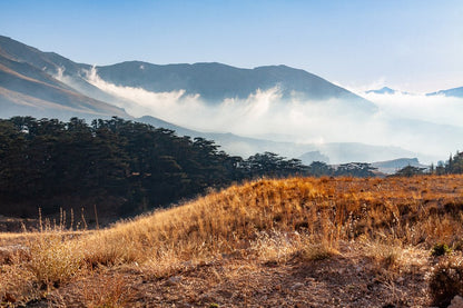 Arez Mountains Mist