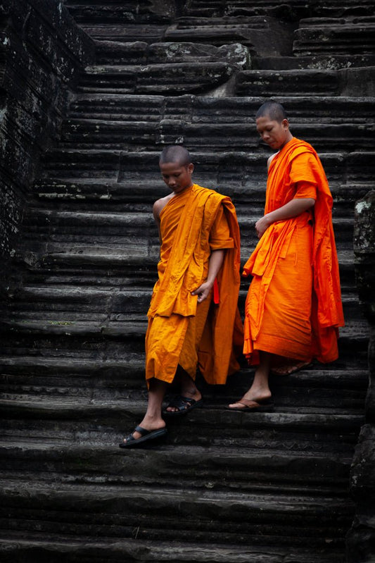 Two Buddhist monks, dressed in vibrant orange robes, are descending an ancient temple staircase featured in FN Prints' "Buddhist Stairs" collection. Their steps are in unison, and they appear to be engaged in quiet conversation as they make their way down. The dark, textured background of worn stone evokes a sense of spiritual wall art.