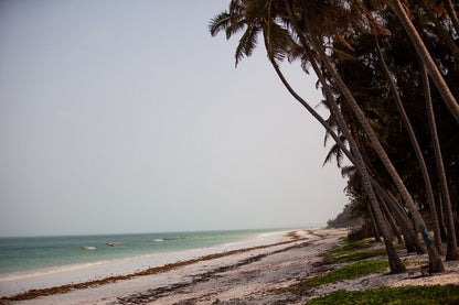 Experience the tranquil allure of Bwejuu Beach Zanzibar with FN Prints' captivating scene. Turquoise waters gently lap against white sand, where scattered seaweed adds a touch of nature's artistry. Tall palm trees line the right side, casting cool shadows onto the warm sand. A few boats drift peacefully in the distance on the calm ocean, while a clear sky with a hint of haze enhances this tropical paradise.