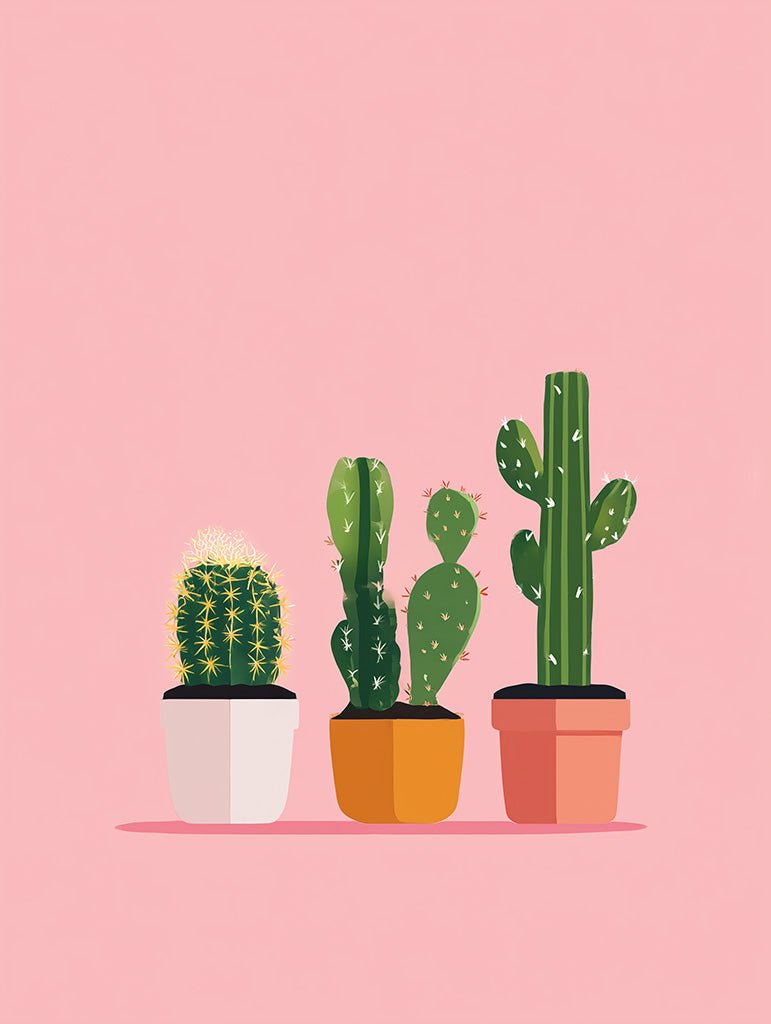 Three potted cacti on a pink background