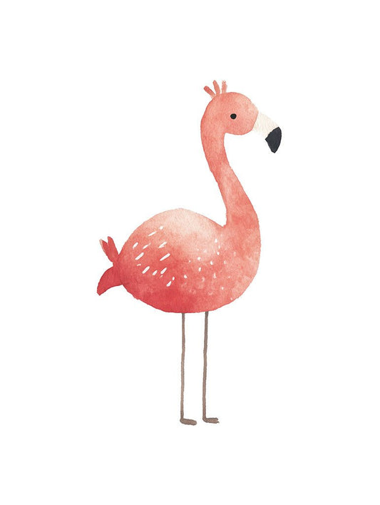 Flossy the Flamingo