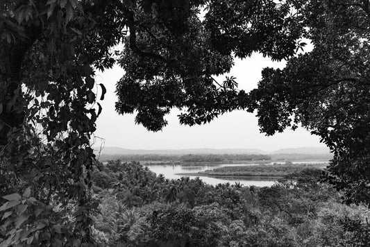 The "Goan River View" from FN Prints features a black and white scenic view framed by tree branches. It showcases a serene nature setting with a river winding through a lush valley, dense trees, and hills in the background. This image beautifully captures the tranquil beauty of the jungle landscape, with the river reflecting the sky above.