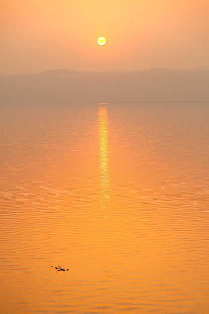 The Golden Horizon II photograph by FN Prints captures a golden sunset over the calm, expansive waters of the Dead Sea in Palestine. The sun, positioned near the top center, casts a long, shimmering reflection on the water's surface. Silhouettes of distant mountains are faintly visible under the hazy sky.