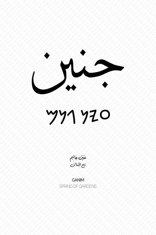 Minimalist art print of Jenin (جنين), Palestine (فلسطين) in black Arabic calligraphy on a textured white background. Includes ancient Canaanite script and the translation 'Spring of Gardens' in English and Arabic (نبع الجنائن).