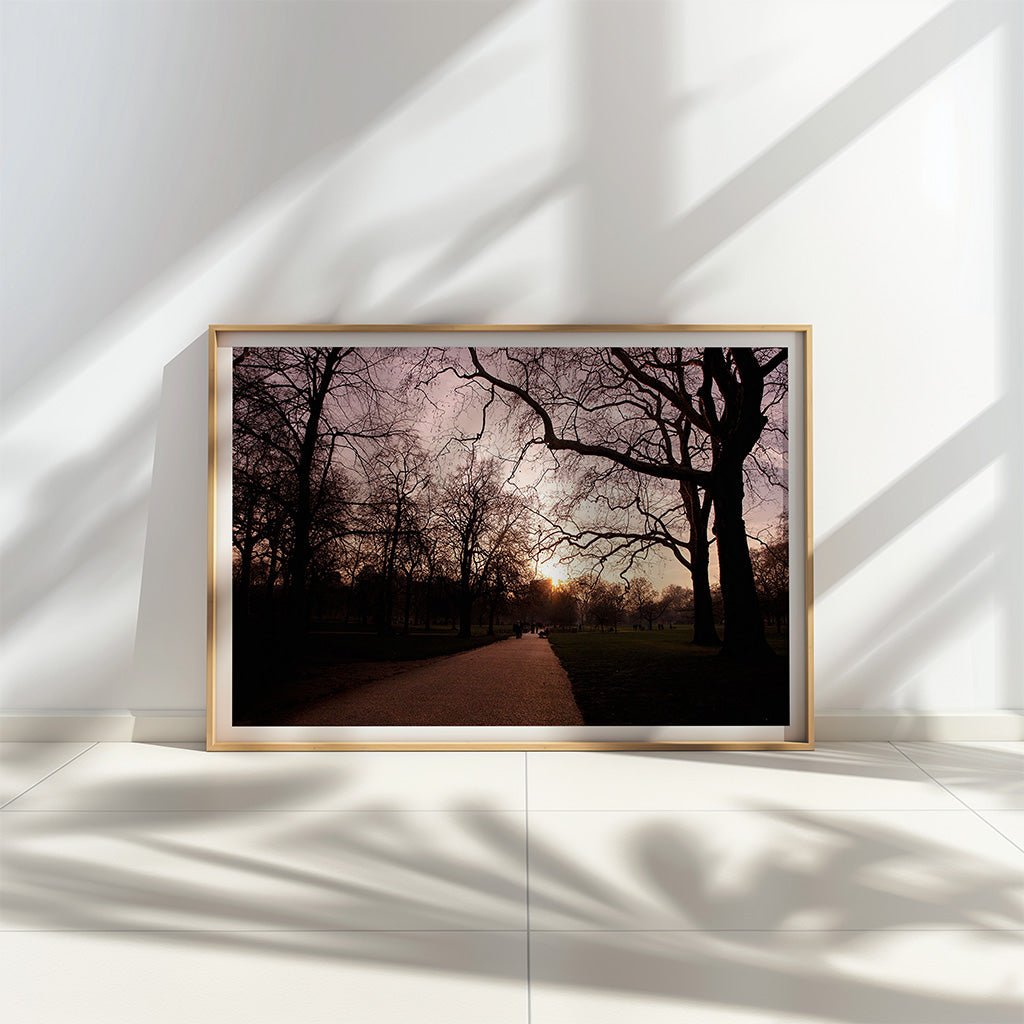 London Park Sunset
