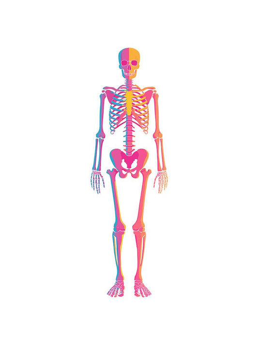 FN Prints' Neon Skeleton features a human skeleton standing upright in vivid pink, orange, and yellow hues on a white background—ideal as modern pop art or bold neon wall decor.