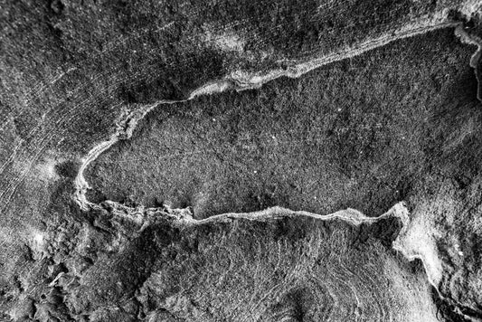 A close-up black and white shot titled "Petra Rocks!" by FN Prints showcases a textured surface with intricate patterns and varied shading. The central area features a long, irregularly shaped indentation surrounded by rough, grainy details reminiscent of geological formations or the bark of an ancient tree.