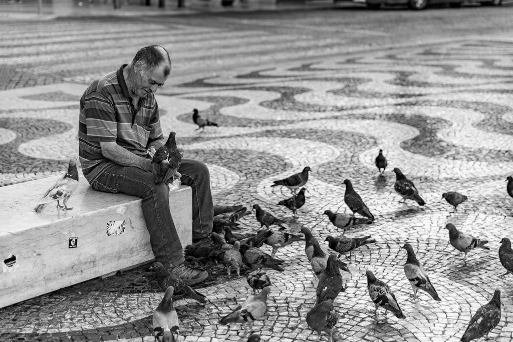 A man sits on a concrete block, surrounded by pigeons on a patterned cobblestone surface. He wears a striped shirt and shorts, gently holding one of the pigeons while others gather at his feet. The black and white photograph, titled "Pigeon Feeder" by FN Prints, evokes serenity and harmony, capturing a tranquil urban moment of human-animal connection.