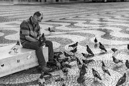 A man sits on a concrete block, surrounded by pigeons on a patterned cobblestone surface. He wears a striped shirt and shorts, gently holding one of the pigeons while others gather at his feet. The black and white photograph, titled "Pigeon Feeder" by FN Prints, evokes serenity and harmony, capturing a tranquil urban moment of human-animal connection.