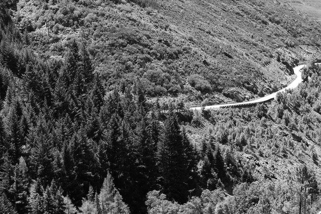 Black and white fine art photography of a winding road through a dense evergreen forest on a steep mountain slope in Portugal.
