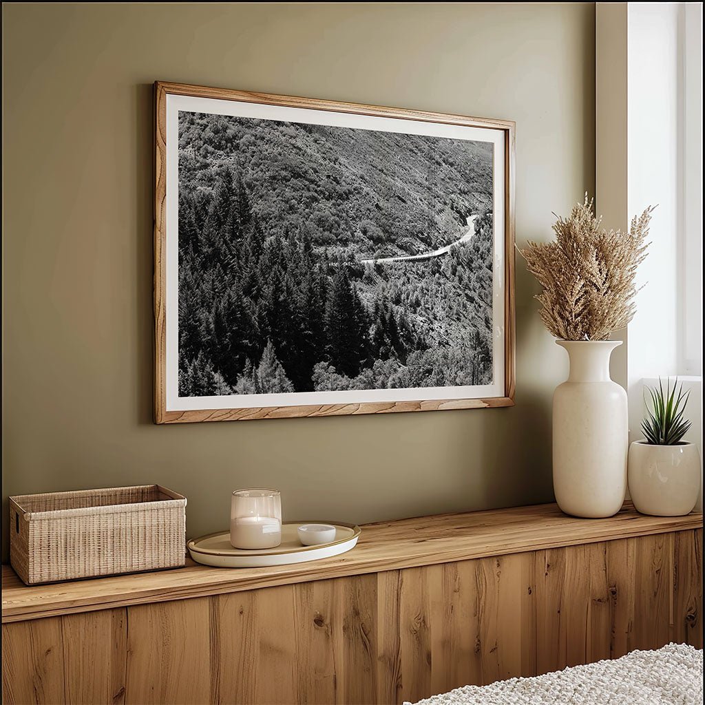 Remote Mountain Road