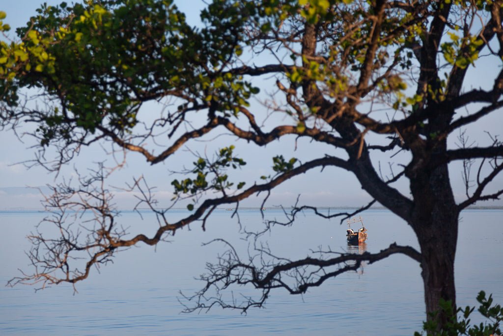 Fine art photography of a traditional Cambodian boat on calm blue water, framed by the silhouette of tree branches at the coast.