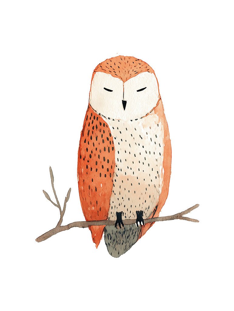 Sleepy Owl