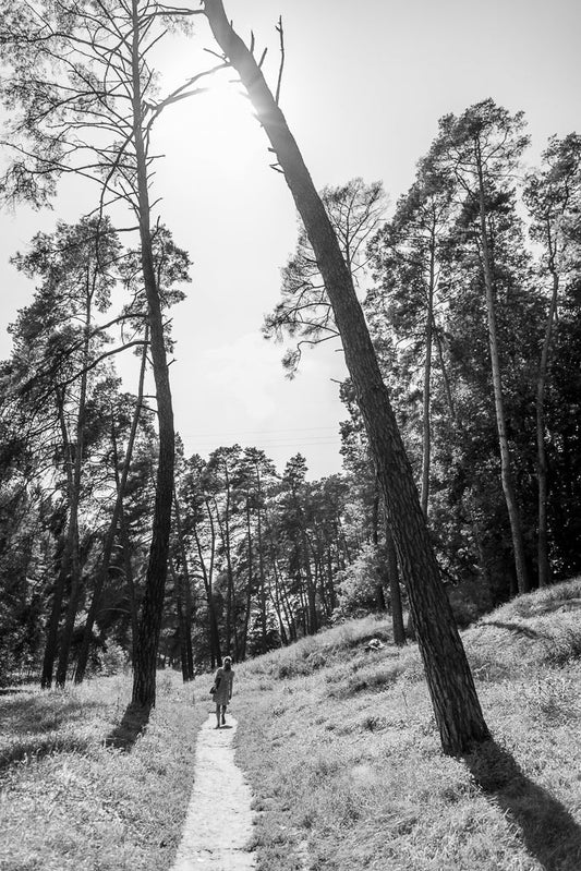 A person strolls along a narrow dirt path in a lightly wooded area where tall, slender trees bend toward the bright sun. "Solitude in the Forest" by FN Prints captures this serene beauty in black and white, with dappled sunlight creating striking contrasts among the trees and grassy ground.