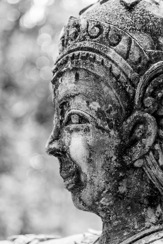 A black-and-white close-up of the weathered Thai Buddha statue from FN Prints, featuring a serene face in profile that exudes spiritual contemplation. The ornate headdress and aged appearance with visible cracks and moss enhance its timeless beauty. The blurred background emphasizes the intricate details on the face and headgear, making it ideal wall art for promoting tranquility.