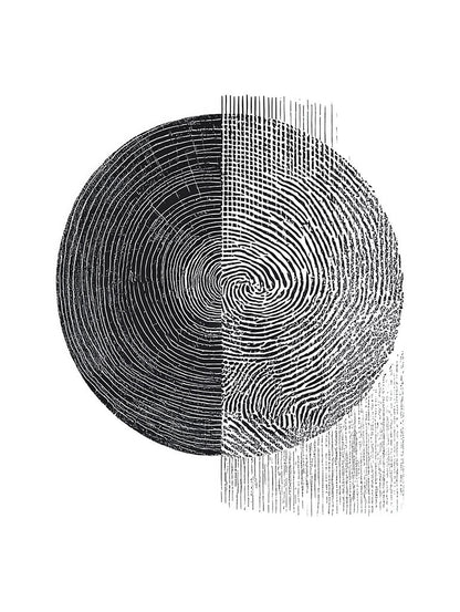 Tree Rings Fingerprint