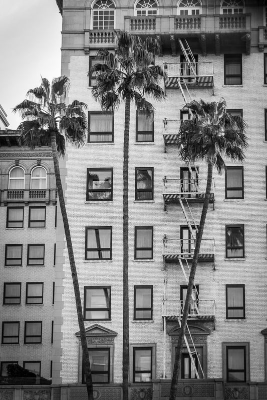 A black and white photo from FN Prints' "Pretty Woman" collection captures a multi-story brick building adorned with urban elegance. Fire escapes grace the facade, while tall palm trees spread their leaves above the roof. The uniformly arranged windows create a grid-like pattern, evoking the classic architecture near Beverly Wilshire Hotel.